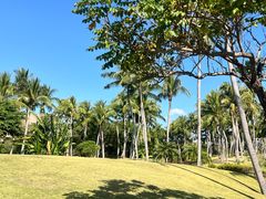 -大堂酒廊·亚龙湾万豪度假酒店