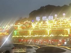 -枇杷园食为鲜火锅(南山店)