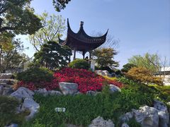 -上海滨江森林公园