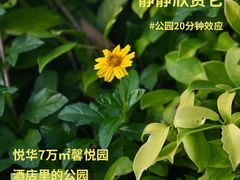 -厦门悦华酒店