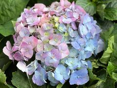 -广州市白云山风景名胜区