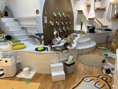 -COLOR PETS 撸猫馆·购猫·猫咖(长风大悦城店)