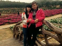 android_upload_pic-望天湖