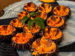 海胆不限量畅吃-Minase水濑·日料放题(外滩店)