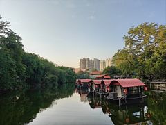 -侨美·唐荔园·40年地道粤菜