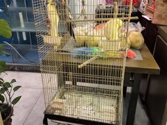 -潇湘·永州会馆(百子湾店)