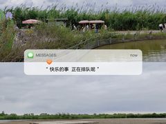 -宁波杭州湾国家湿地公园