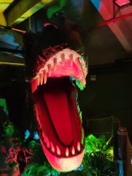 -恐龙探索乐园(磁器口店)