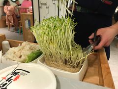 有机鲜豆苗-俏牛哥鲜牛肉牛肆馆(重庆天地店)