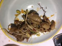 -渝蛙先生领鲜美蛙老火锅