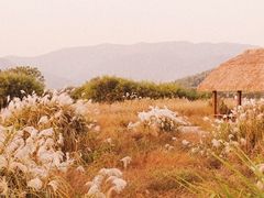 -良渚古城遗址公园