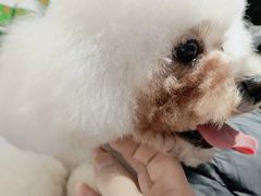 -FAELING PETS美天灵宠物(富力广场店)