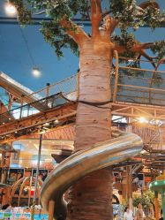 -卡通尼·Safari非洲探索乐园·生日会(金桥国际商业广场店)