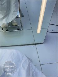 点击看大图 -金棕榈