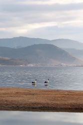 -纳帕海依拉草原