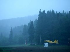 -武陵山森林公园