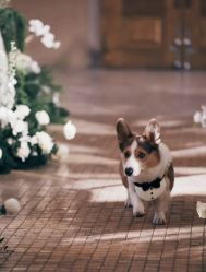 -Sunny喜铺婚礼策划(东部店)