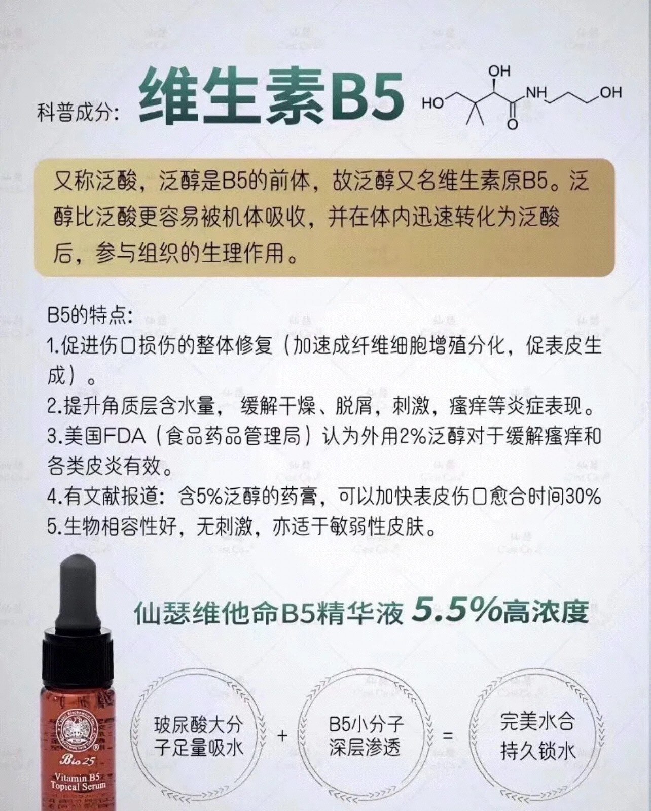 诠润b5精华成分表图片