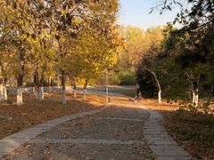 -奥林匹克森林公园南门-停车场