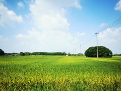 -嘉北郊野公园