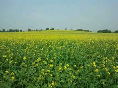 -御道口草原森林风景区-游客咨询处
