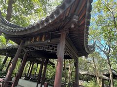 -上海佘山国家森林公园天马山园