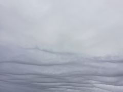 -金沙滩度假村