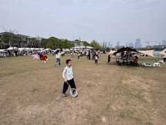 -洋湖国家湿地公园