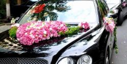 -蚂蚁婚车