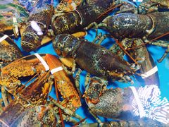 -胡家庙海鲜副食批发市场