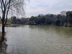 -长广溪湿地公园