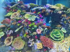 -成都浩海立方海洋公园