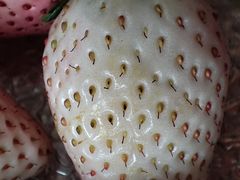 -金宝生活市场(东五环店)