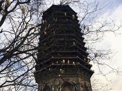 -玲珑塔公园