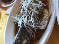 -胖大姐黄辣丁鱼庄(新津店)