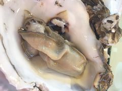 沈家门海鲜夜排挡1-67号档口-沈家门海鲜夜排档(东港店)