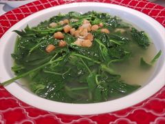 -谭厨中山传家菜.乳鸽.脆鲩鱼(华强北中航城店)
