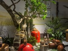 -沈阳植物园