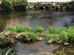 -富士山吉田線五合目