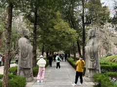 -吉祥面馆(孩儿巷北路店)