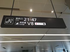 -虹桥机场国航贵宾室v8