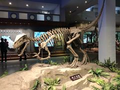 -自贡恐龙博物馆