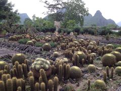 iphone_upload_pic-Club Med地中海俱乐部·桂林度假村