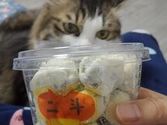 -二斗栗子(西湖道店)