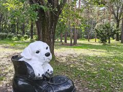 -黑龙江省森林植物园
