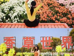 -广东花都香草世界旅游度假区