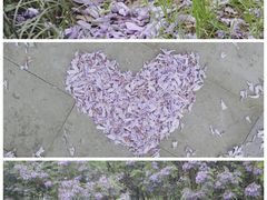 -重庆彩云湖湿地公园