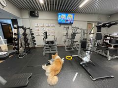 -YCHL Studios健身工作室(市二宫店)