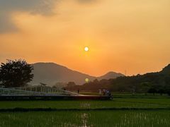 -风云岭森林公园