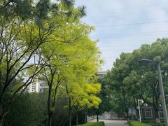 -宁波儿童公园(鄞州区)